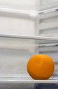 Free Inside Fridge Stock Images - 1612744