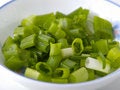 Free Spring Onion Royalty Free Stock Photo - 1613765
