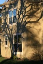 Free Tree Shadow Stock Images - 1614134