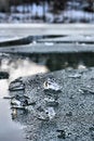 Free Icy Winter Scenery Stock Photos - 1614993