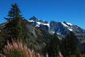 Free Mt Shuksan Royalty Free Stock Image - 1619356