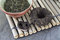 Free Chinese Teas Stock Photography - 1613962