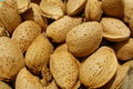 Free Hazel-nut Royalty Free Stock Image - 1620216