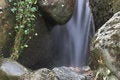 Free Gorge Details Royalty Free Stock Photo - 1621155