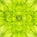 Free Fractal Abstract Royalty Free Stock Photo - 1625035