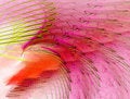Free Fractal Abstract Royalty Free Stock Images - 1625139