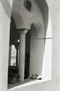 Free Ravello Cats Stock Image - 1625951