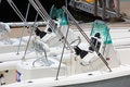 Free New Yacht Royalty Free Stock Images - 1627049