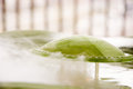 Free Fume Stock Images - 1628414