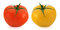 Free Fresh Tomatoes - Red And Yellow Stock Photo - 1625670
