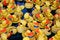Free Rubber Ducks And Boats Stock Images - 1626644