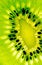 Free Abstract Photo Of A Kiwi Royalty Free Stock Images - 16280659