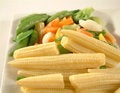 Free Vegetables Stock Images - 1630554