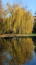 Free Tree And Pond Stock Image - 1632011