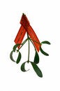 Free Mistletoe Twig With A Red Ribbon Royalty Free Stock Images - 1636919