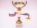 Free Gold Cup Stock Photo - 1644520