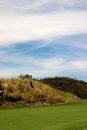 Free Flag Pole On The Green. Royalty Free Stock Photos - 1649388