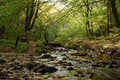 Free A Fall Stream Stock Photo - 16411810