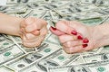 Free American Dollars And Figs Stock Photography - 1651942