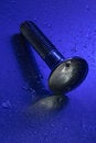 Free Blue Screw With Reflection Royalty Free Stock Photography - 1654157