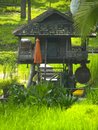 Free Four Seasons Resort Chiang Mai Royalty Free Stock Photo - 1658705
