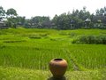 Free Four Seasons Resort Chiang Mai Royalty Free Stock Photo - 1658715