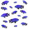 Free Collage With Blue Fish Stock Photo - 1652100