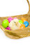 Free Baby Chick In A Basket With Plastic Easter Eggs Stock Photo - 1653800