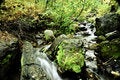 Free Slow Moving Creek Stock Photo - 16518830