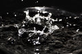 Free The Water Stock Images - 1661804