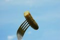 Free Russian Still Life With Cucumber Royalty Free Stock Photos - 1665198
