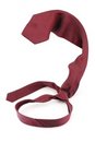 Free Necktie Stock Image - 1668761