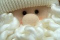 Free Fluffy Santa Royalty Free Stock Photography - 1670437