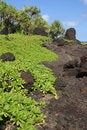 Free Waianapanapa State Park Stock Images - 1670774