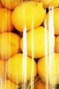Free Lemons Royalty Free Stock Images - 1670949