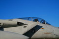 Free F15 Fighter Royalty Free Stock Photo - 1673315