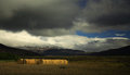 Free Sunlit Straw Bales Stock Images - 1681674