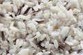 Free Wild And Natural Rice Stock Photo - 1683150