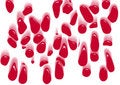 Free Blood Drops Stock Photos - 1684763