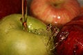 Free Large, Ripe Apples. Stock Photo - 1686370
