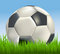 Free Soccer Ball Stock Image - 16852981