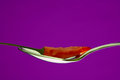 Free Teaspoon And Chili Royalty Free Stock Photos - 1699168