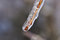 Free Snow And Ice Storm Royalty Free Stock Photos - 1698328