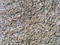 Free Pitted Beach Sand 11 Stock Photo - 175930