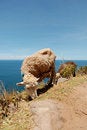 Free Sheep From Tequile Island On Lake Titicaca, Peru Stock Photos - 1703213