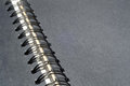Free Spiral Bound Photo Scrapbook Royalty Free Stock Photos - 1703348