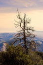 Free Californian Desert Stock Images - 1705954
