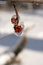 Free Snow And Ice Storm Stock Images - 1702024