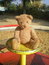 Free Teddy Bear On The Merry-go-round Stock Images - 1706204