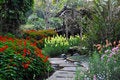Free Garden Royalty Free Stock Photos - 17035348